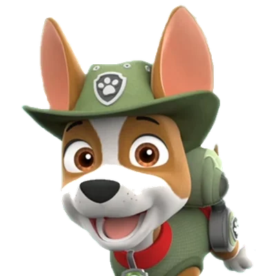 Tracker, le chihuahua explorateur de la jungle